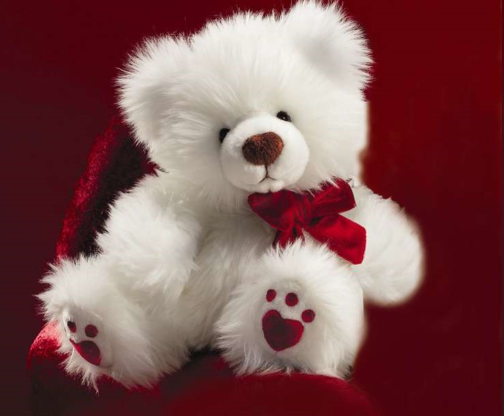 teddy bear gifts for her