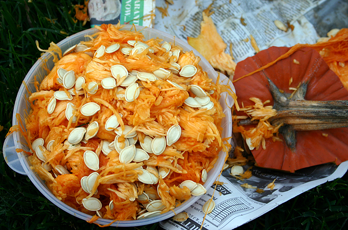 How To Roast Pumpkin Seeds In Oven