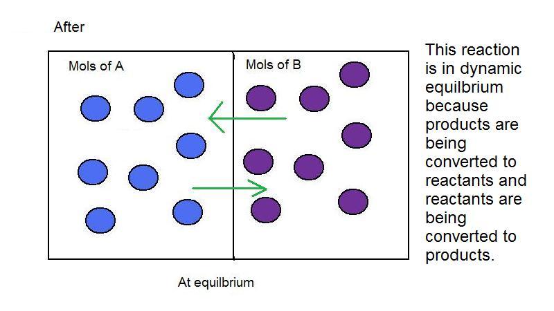 Difference Between Static And Dynamic Equilibrium