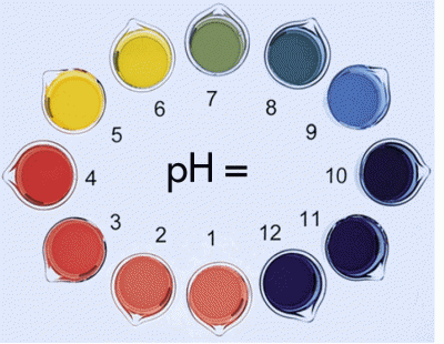 Acids+and+bases