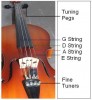 Name of strings and fine tuners