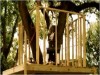 Treehouse railing