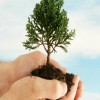 Importance of Arbor Day