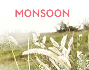 Monsoon Shops