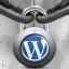 Wordpress backup