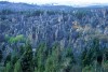 Stone Forest