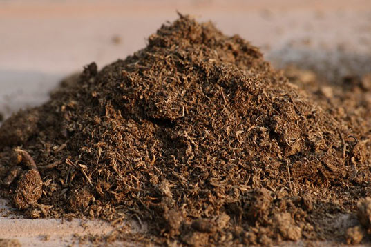 How to Use Peat Moss in Filter