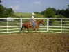 How to Construct a Round Pen for a Horse