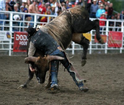 How to Ride a Bull