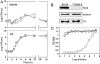 Dissimilarity Between Virulence and Pathogenicity