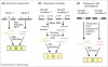 Dissimilarity Between Virulence and Pathogenicity