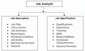 Difference between Job Analysis and Job Description