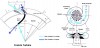 Dissimilarity between Kaplan and Francis Turbine