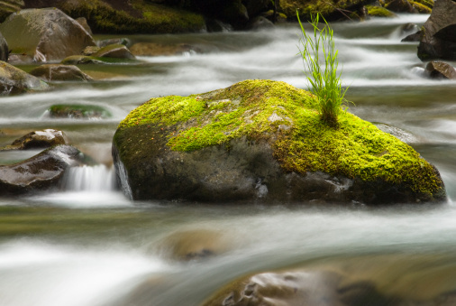 Rushing water in Sol Duc river