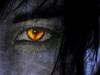 Eye of a lycan