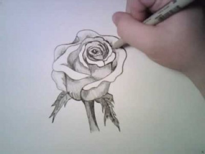 How to Draw a Medieval Rose