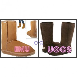 Difference Between Uggs and Emus