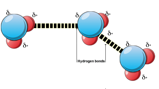 Difference Between Van der Waals and Hydrogen Bonds