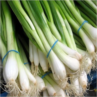 Difference between Leek and Spring Onion