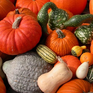 Pumpkins and Squashes