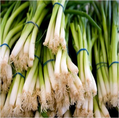 Difference between Leek and Spring Onion