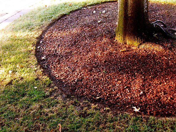 Keep Mulch in Place