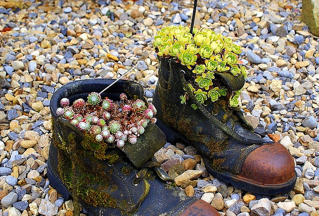 Recycle Old Boots